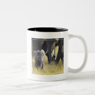 Baby Elephant Tweekleurige Koffiemok