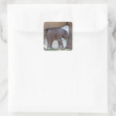 Baby Elephant Vierkante Sticker (Tas)