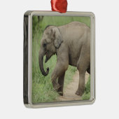 Baby Elephant voor moeder Corbett Metalen Ornament (Rechts)