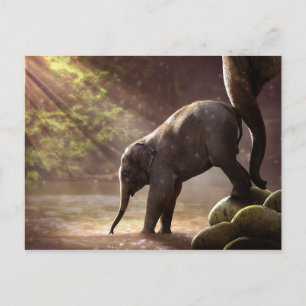 Baby Elephant's First Bath Briefkaart