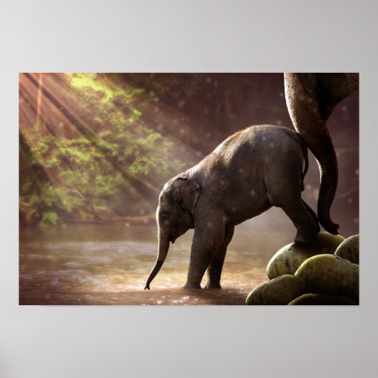 Baby Elephant's First Bath Poster (Voorkant)