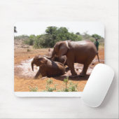 BABY ELEPHANTS IN KENIA MUISMAT (Met muis)