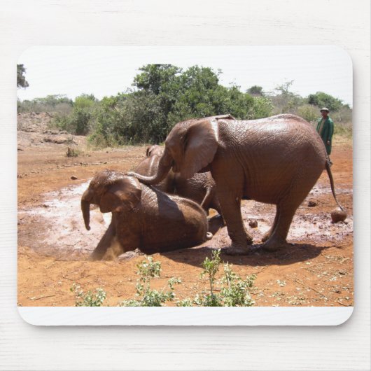 BABY ELEPHANTS IN KENIA MUISMAT (Voorkant)