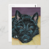 "Baby Em" - Schots puppy Briefkaart (Voorkant / Achterkant)