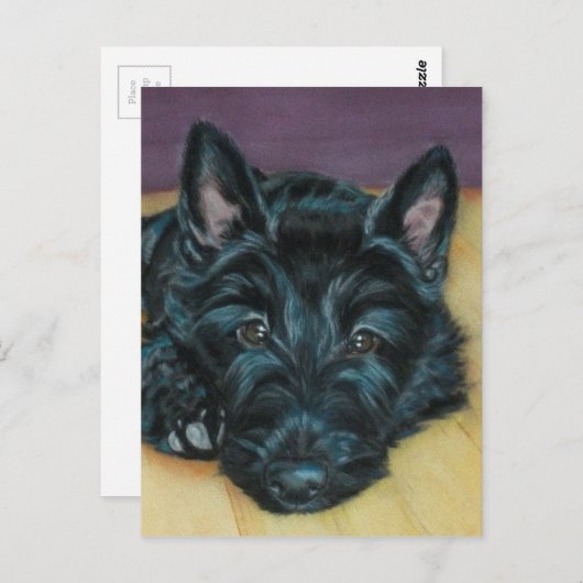 "Baby Em" - Schots puppy Briefkaart (Voorkant / Achterkant)