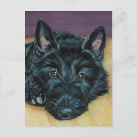 "Baby Em" - Schots puppy Briefkaart (Voorkant)