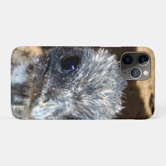 Baby Emu Face Case-Mate iPhone Case (Achterkant (horizontaal))