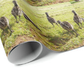 Baby emu kuikens en grote voet, cadeaupapier (Rol Hoek)