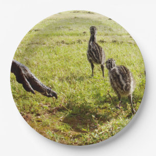 Baby Emu Kuikens En Grote Voet Papieren Bordje