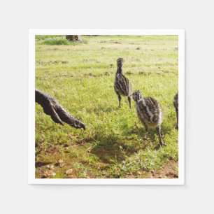 Baby Emu Kuikens En Grote Voet Servet