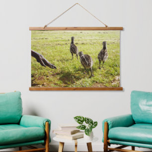 Baby Emu Kuikens En Grote Voet, Wanddecoratie Hangend Wandkleed