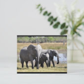 Baby- en familiekaart briefkaart (Staand voorkant)