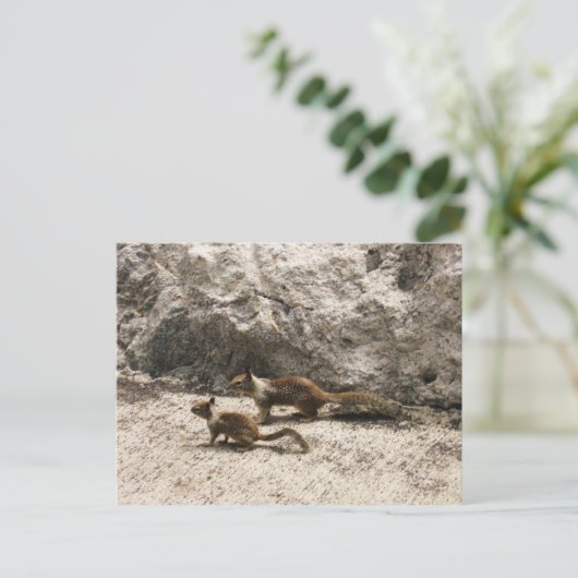 Baby en mama eekhoorn briefkaart (Staand voorkant)