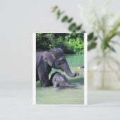 Baby- en moederolifant in de rivier briefkaart (Staand voorkant)