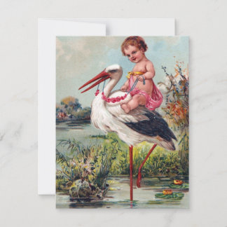Baby en Stork