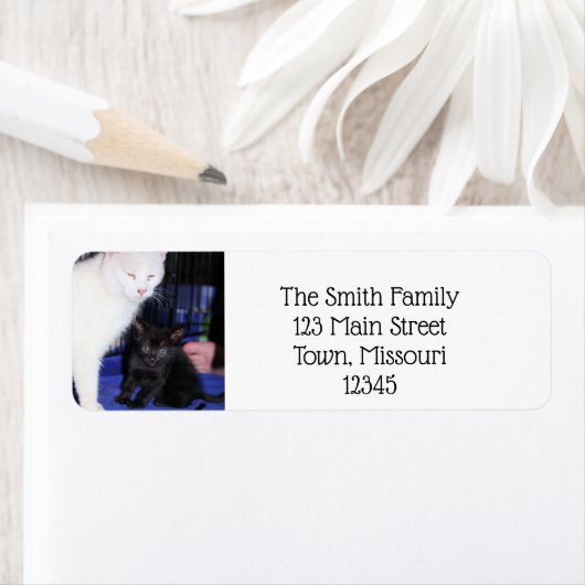 Baby Etiket (Insitu)