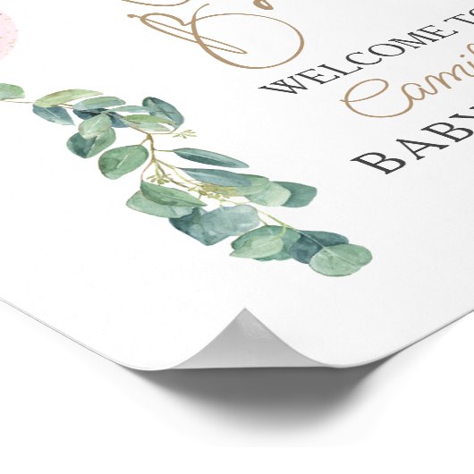 Baby Eucalyptus Pink Ballon Baby shower Poster (Hoek)