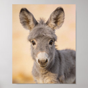 Baby Ezel Portret – Boerderij Nursery Kunst Poster