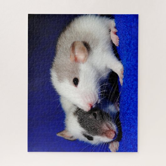Baby Fancy Pet Rat Pups Legpuzzel (Verticaal)