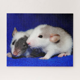 Baby Fancy Pet Rat Pups Legpuzzel