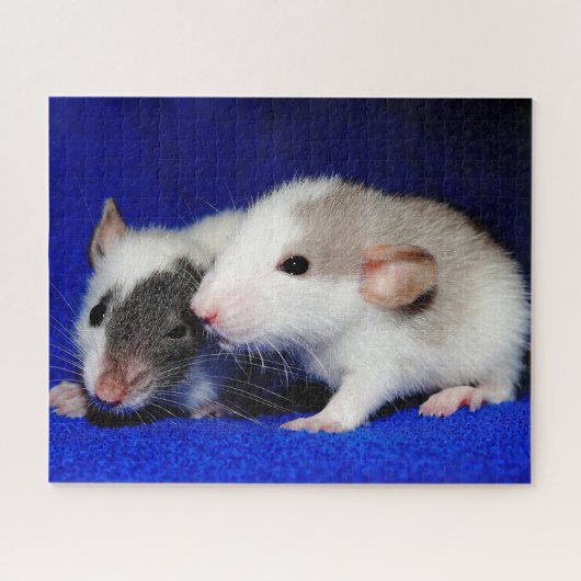Baby Fancy Pet Rat Pups Legpuzzel (Horizontaal)