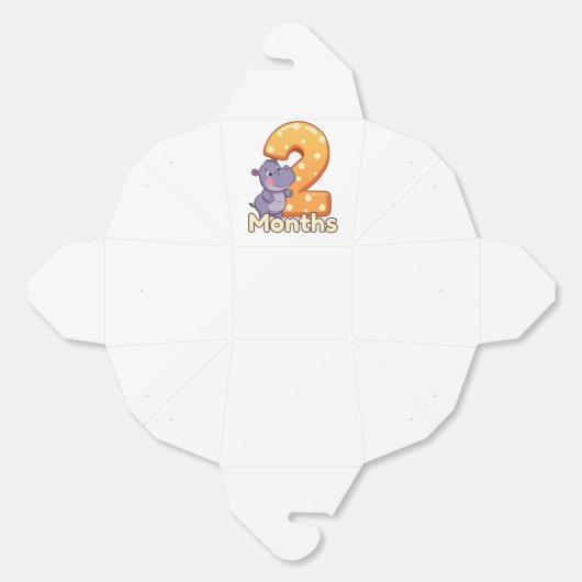 baby Favor Boxes 2 months Bedankdoosjes (Ongevouwen)