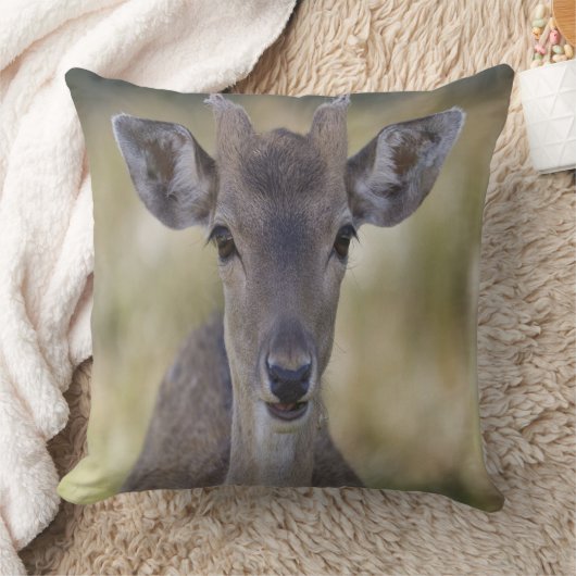 Baby Fawn Buck Kussen (Deken)