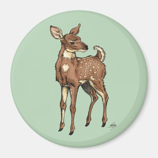 Baby Fawn met muntachtergrond Magneet (Voorkant)