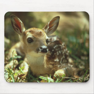 Baby Fawn Muismat