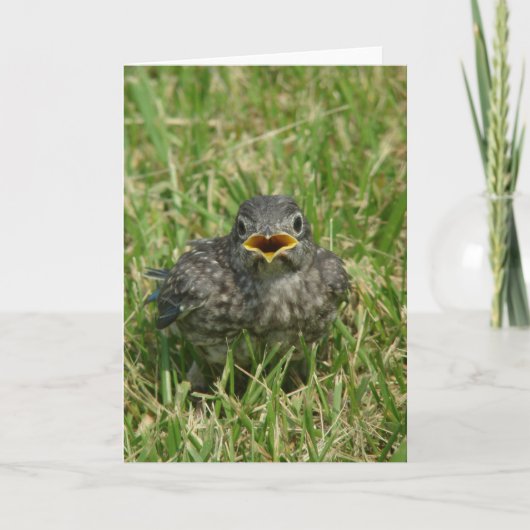 Baby Feestdagen Kaart (Voorkant)