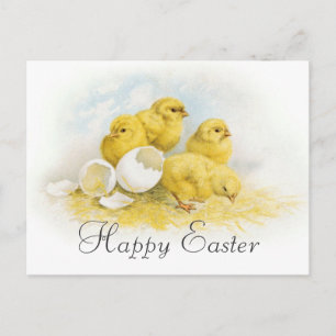  Baby Feestdagenkaart