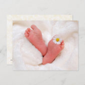 Baby Feet met Daisy Briefkaart (Voorkant / Achterkant)