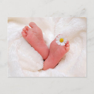 Baby Feet met Daisy Briefkaart