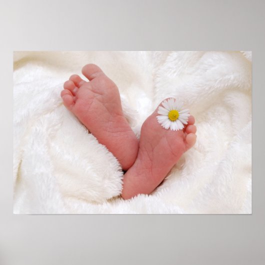 Baby Feet met Daisy Poster (Voorkant)
