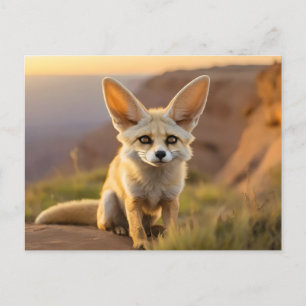 Baby Fennec vos op klif Briefkaart