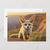 Baby Fennec vos op klif Briefkaart (Voorkant / Achterkant)