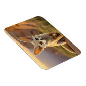 Baby Fennec vos op klif Magneet (Rechterzijde)