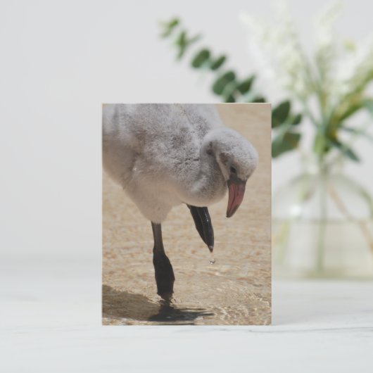 Baby Flamingo Briefkaart (Staand voorkant)