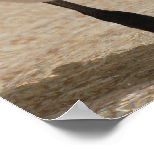 Baby Flamingo Poster (Hoek)