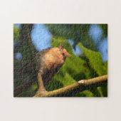 Baby Fledgling Kardinaal Fotografisch Jigzaag Puzz Legpuzzel (Horizontaal)