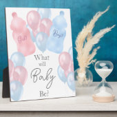 Baby Flessen en ballonnen Geslacht onthullen Fotoplaat (Zijkant)