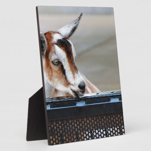 Baby Fotoplaat (Zijkant)