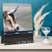 Baby Fotoplaat (Zijkant)