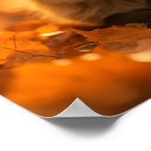 Baby Fox in de herfst bladeren Poster (Hoek)