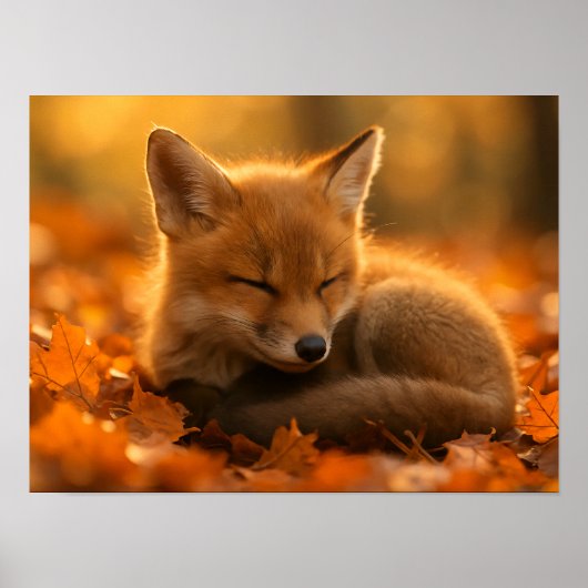 Baby Fox in de herfst bladeren Poster (Voorkant)