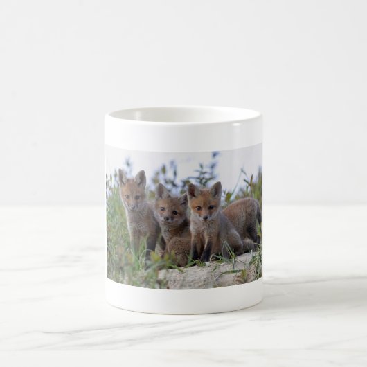 Baby Fox Mok (Center)