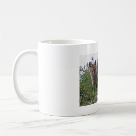 Baby Fox Mok (Links)