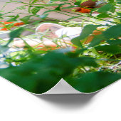 Baby Fox Poster (Hoek)