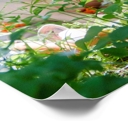 Baby Fox Poster (Hoek)