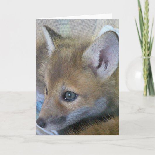 Baby Fox Wenskaart Kaart (Voorkant)